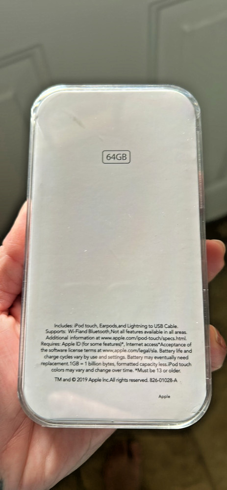 apple ipod touch
