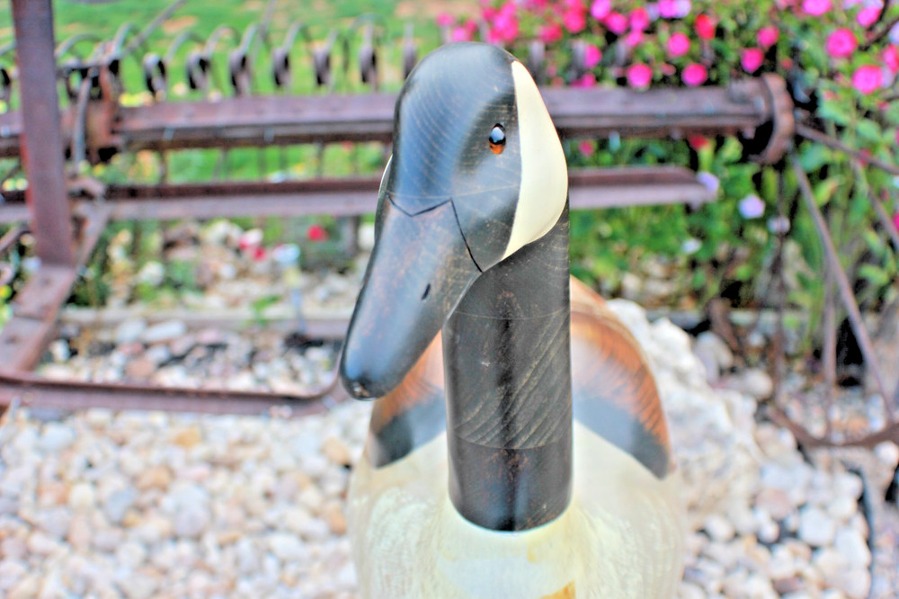DON PROFOTA GOOSE Collector