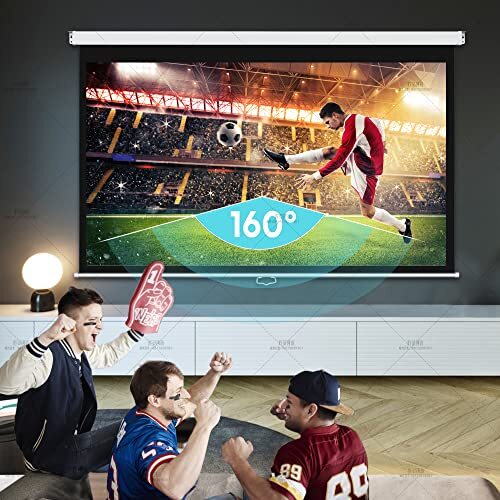 Proht 84" Manual Projection Screen 05350 169 Aspect Ratio Pull Down Projector