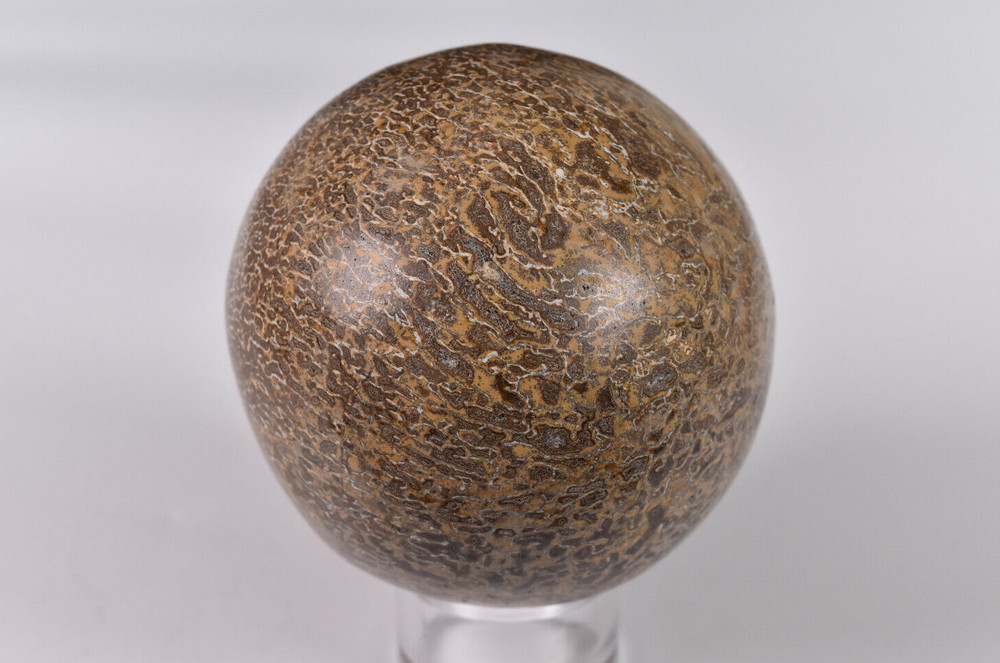 Dinosaur Bone Sphere from Morocco  7.2 cm # 20119