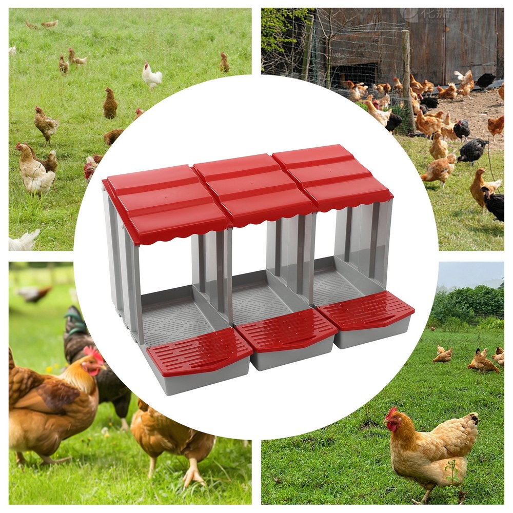 3-Compartment Chicken Nesting Box for Efficient Egg Laying and Easy Collection