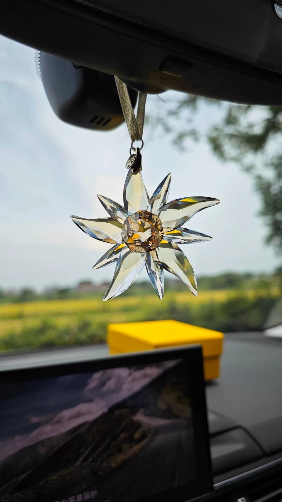 SWAROVSKI 2023 SCS EDELWEISS ORNAMENT #5651063 AUTHENTIC In Box Gifts