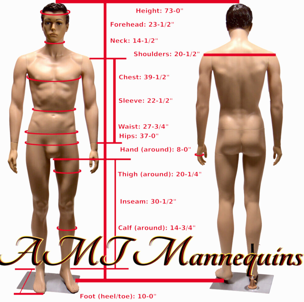Full body male skin tone realistic looking mannequin mankin + metal stand #08-1F