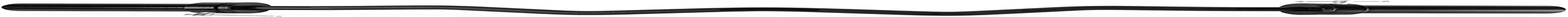 Olympic EZ Curl Bar, Black (2-Inch) (New Version)