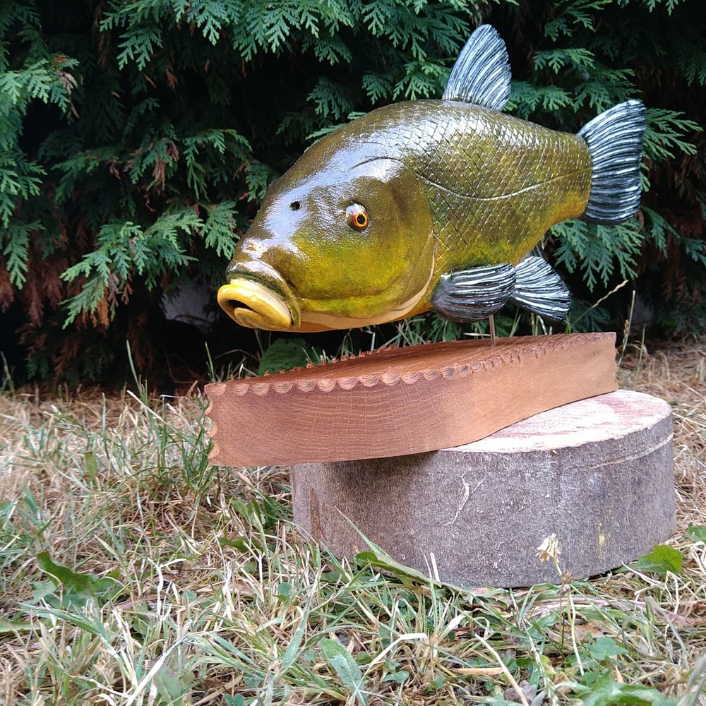 Tench Fishing , fish