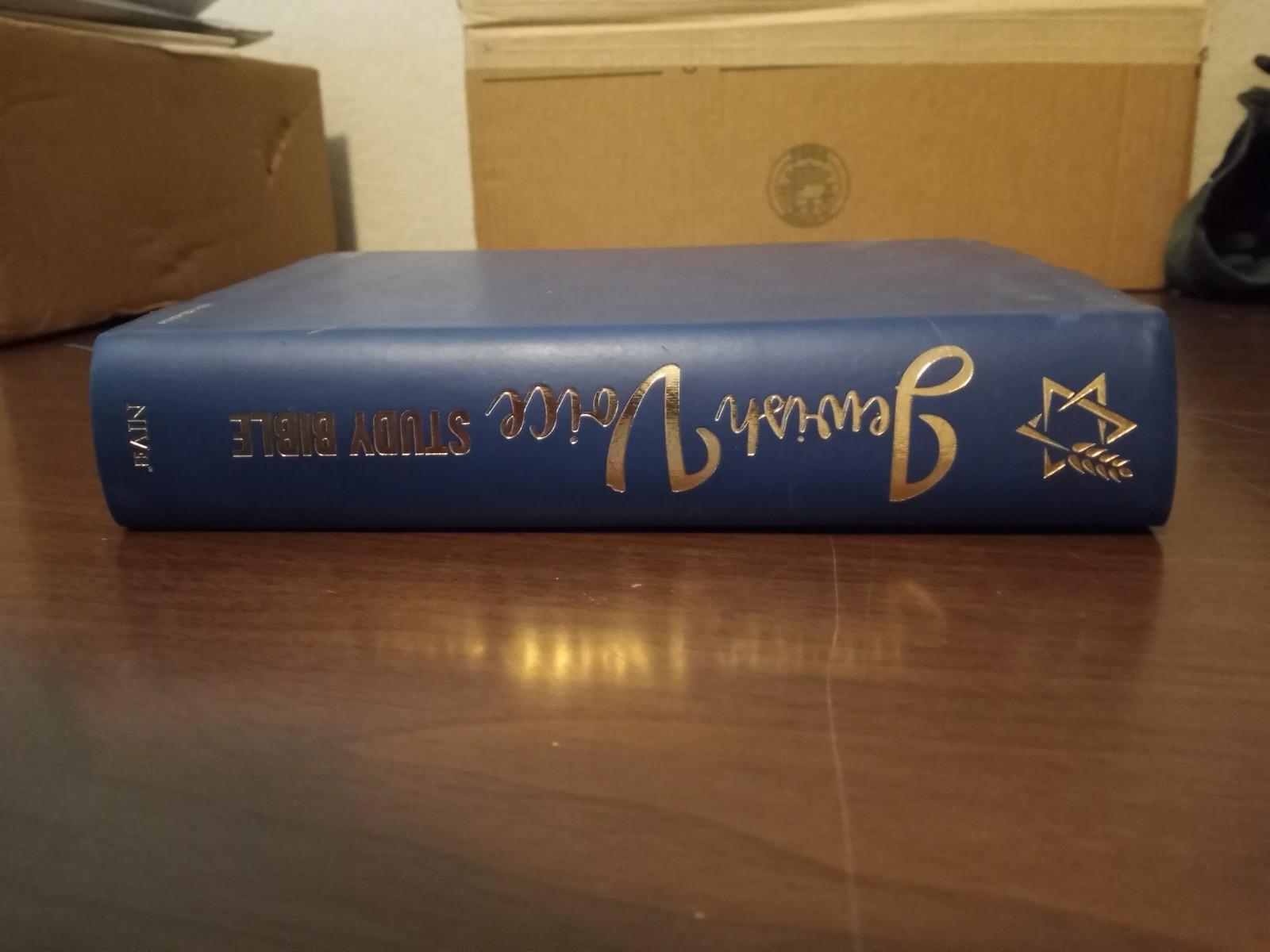 Jewish Voice Study Bible NIV First-Century