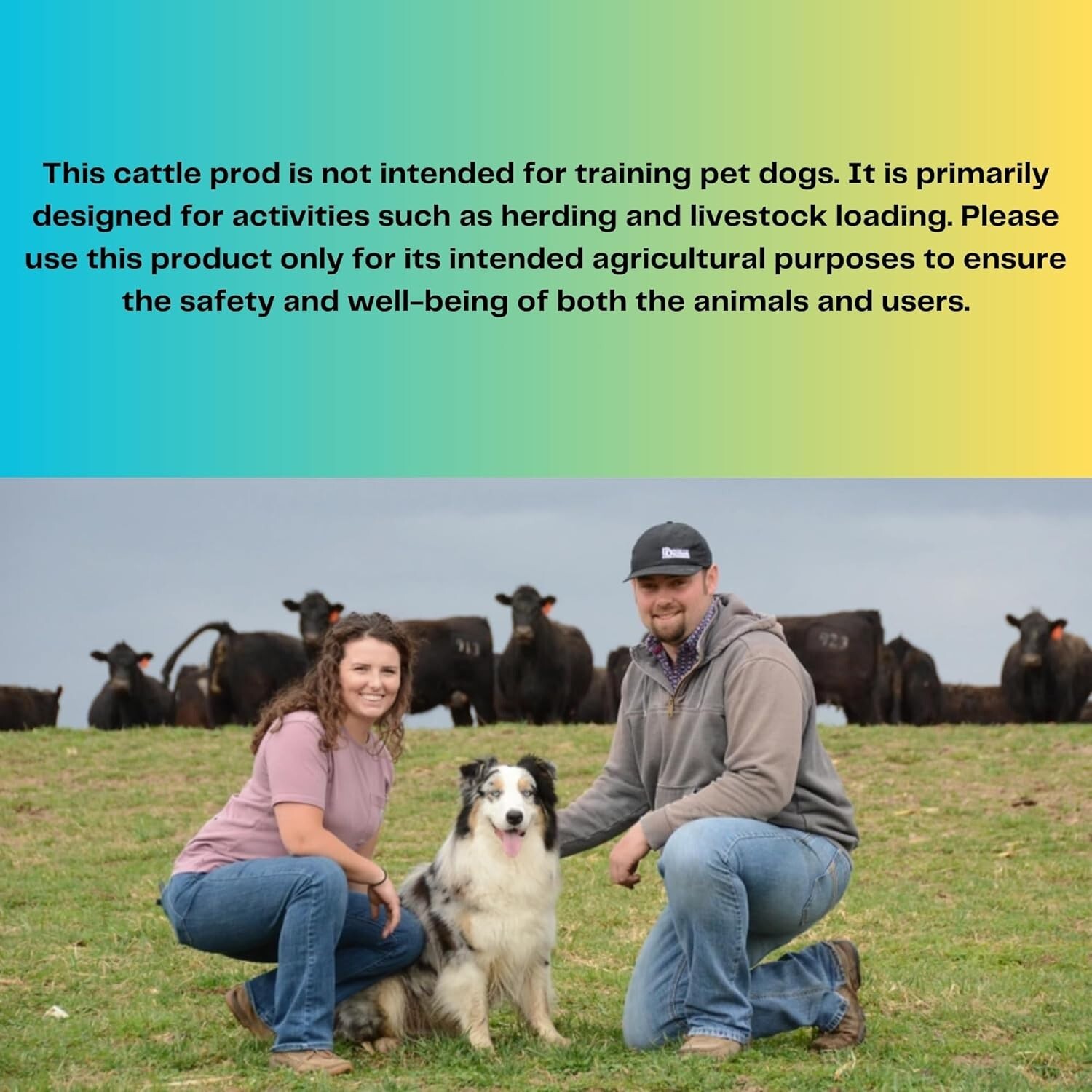 Waterproof Electric Cattle Prod Rechargeable Livestock Shock Stick w LED Lights