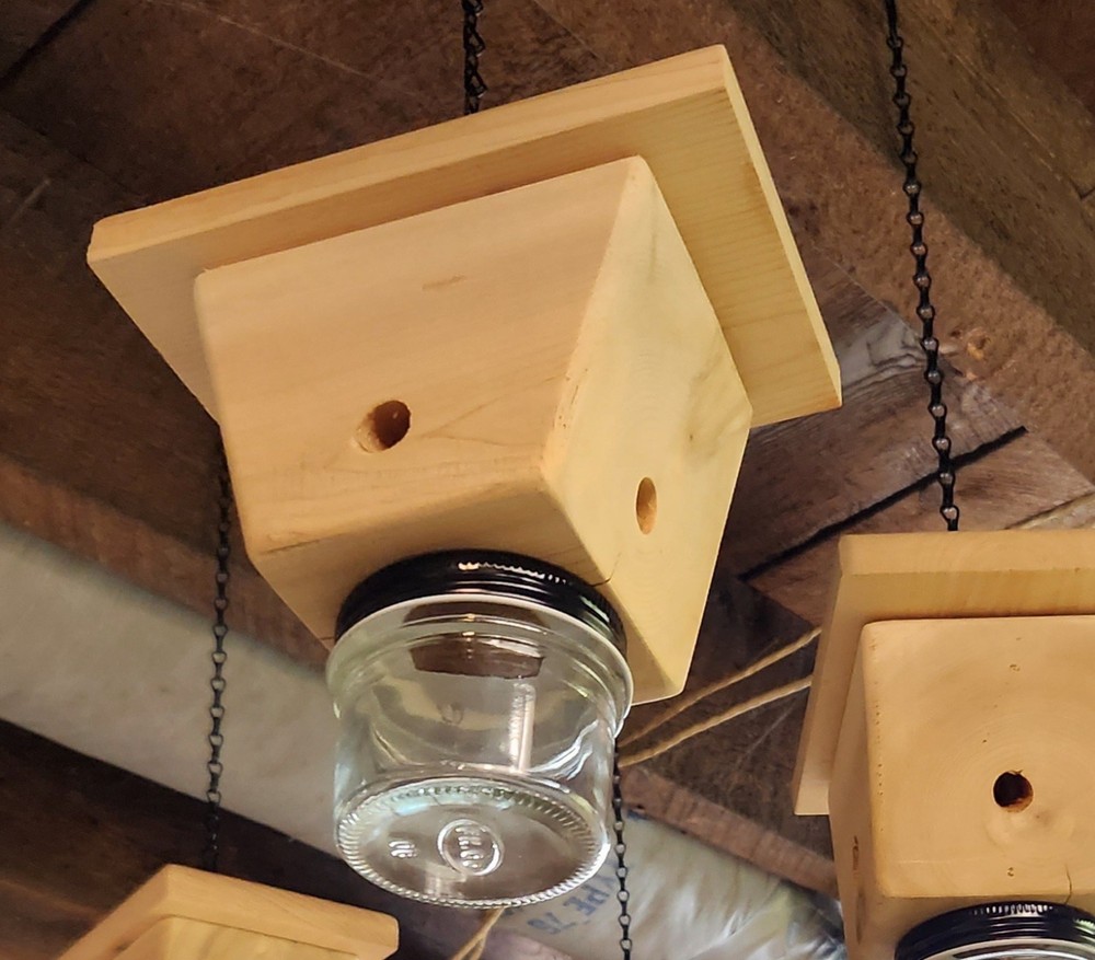 Handmade carpenter bee collector