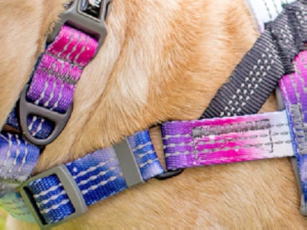 Leash No Pull Dog Harn, Easy Walk for Small, Medium, and Lar