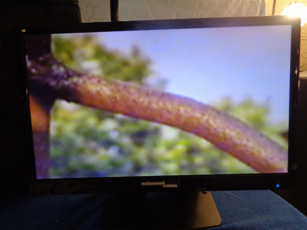 Enhanced Vision Acrobat LCD 24" With Remote And Case