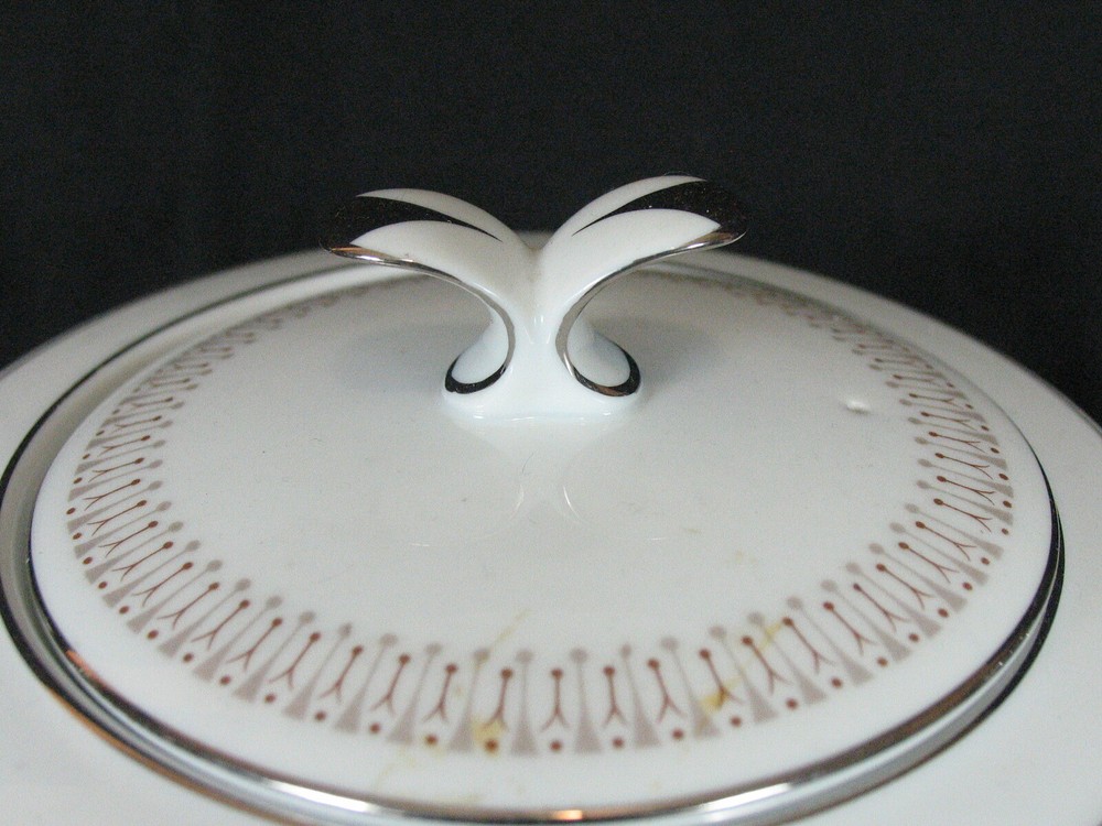 Rare NORITAKE LESLIE 6004 Mint Teapot
