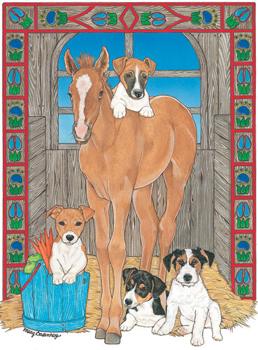 Jack Russell Terrier Blank Note Cards Boxed