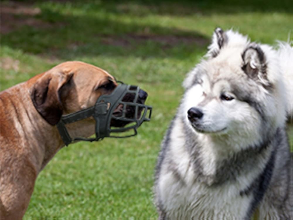 BARKL Dog Muzzle, Silicone Basket Muzzle for Small Medium Lar Dogs,