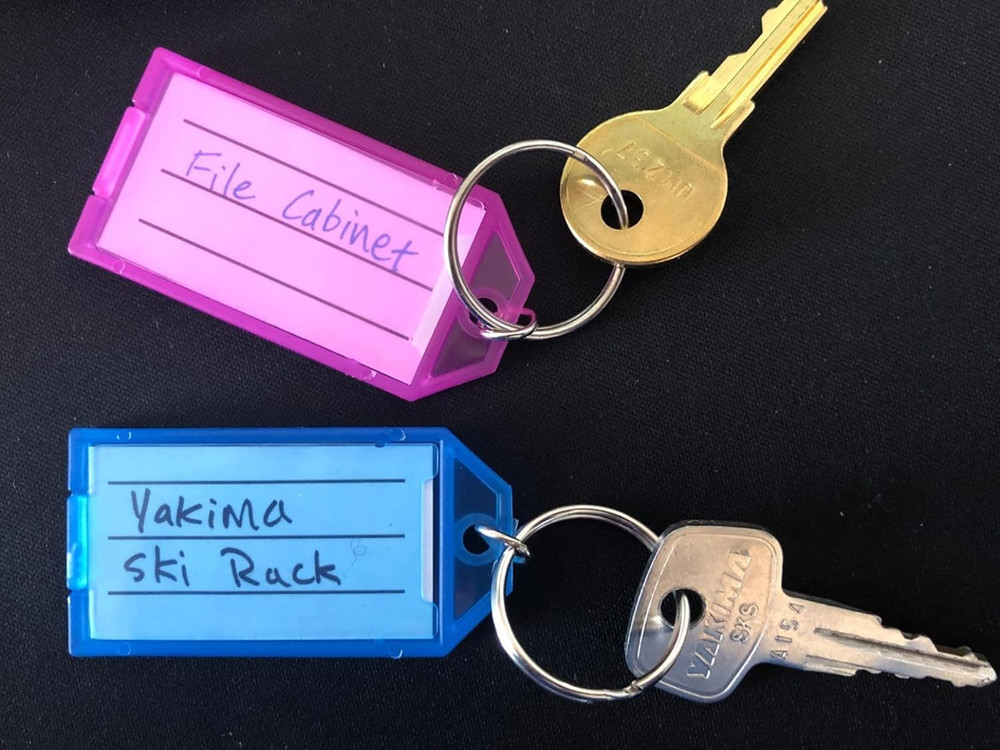 20 Pack Plastic Key Tags with Container, Key Labels with Ring and Label Window,