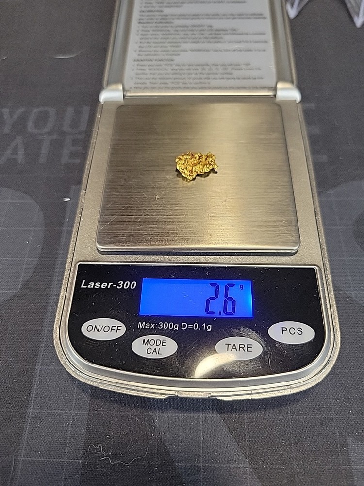 2.60 Gram Gold Nugget Chunky!