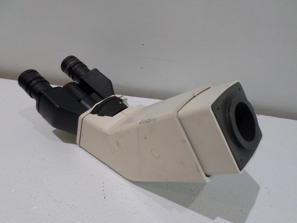 Nikon CFWN 10x/20 Microscope Eyepieces w/ Microscope Arm
