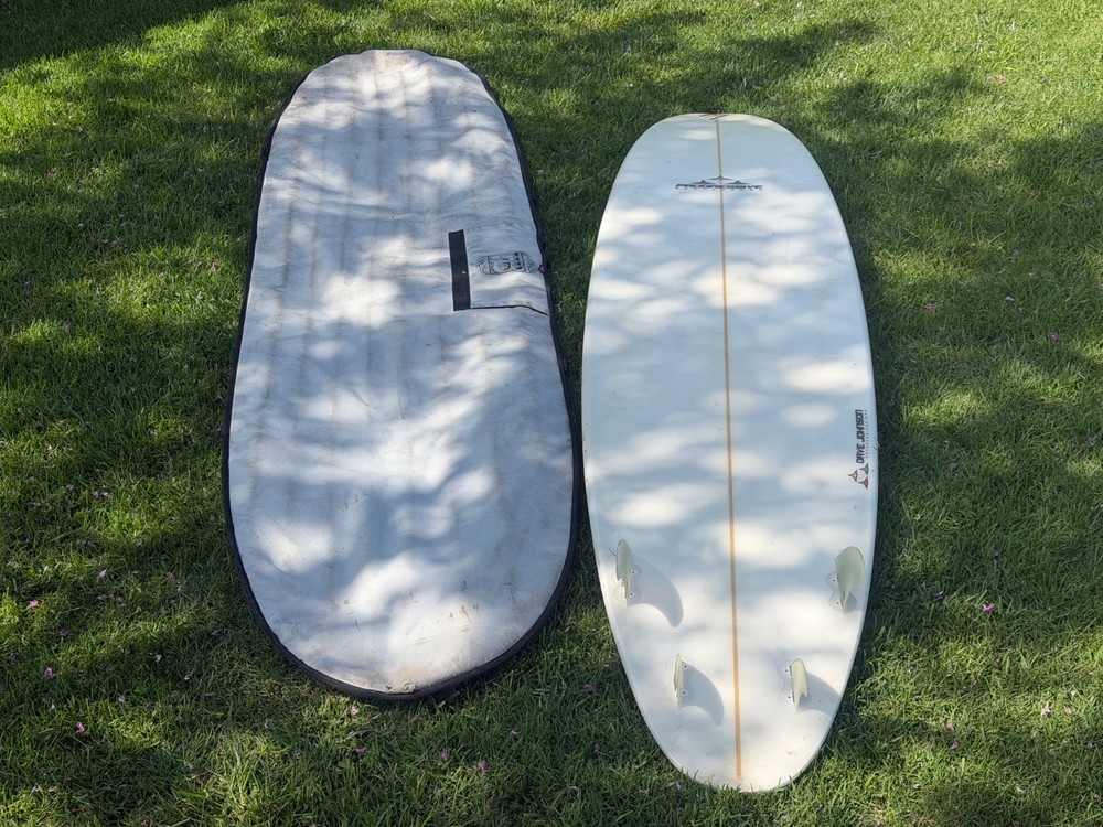 longboard surfboard, quad