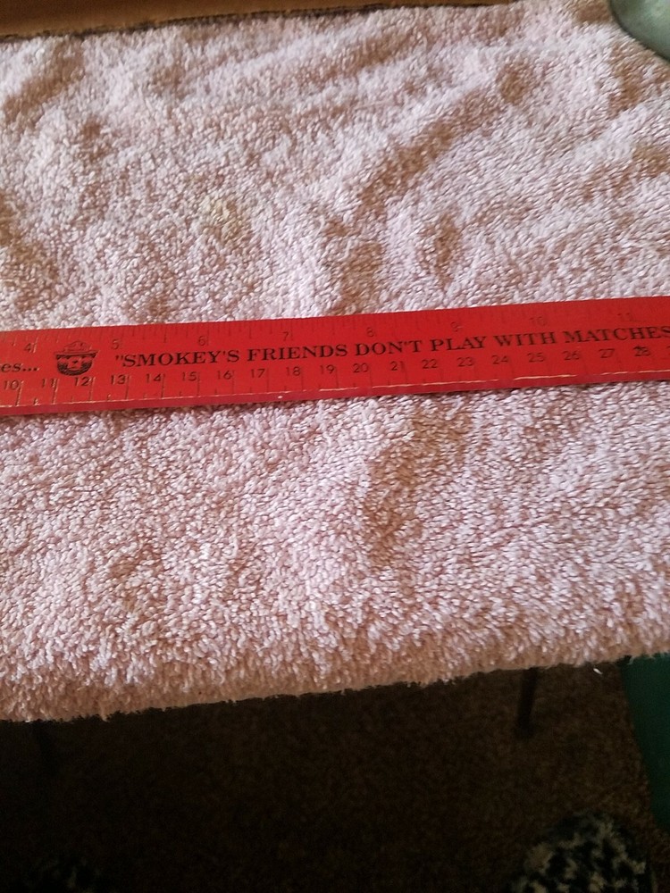 Smokey The Bear 12" Ruler