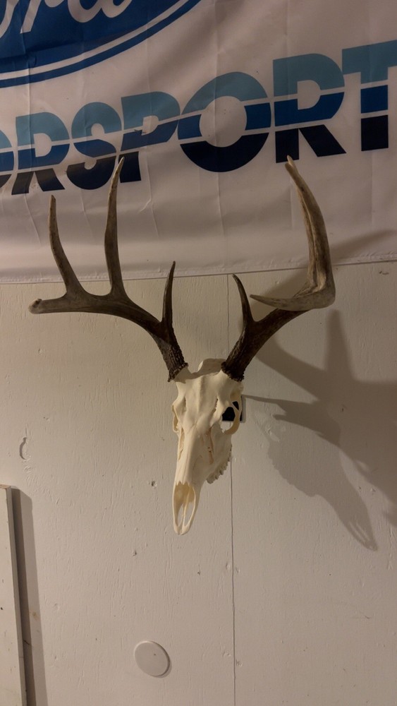 European Mount Hanger
