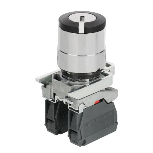 AC 240V 10A ON-Off 2-Position Key Rotary Key Locking Style Push Button Switch