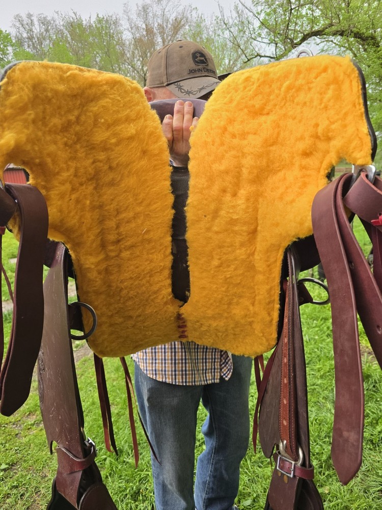 16 Inch Hornless Saddle