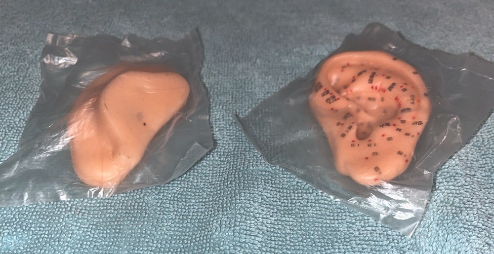 Acupuncture Left Ear Accupoint Model Replica Learning Simulation Lot/2 Unopened