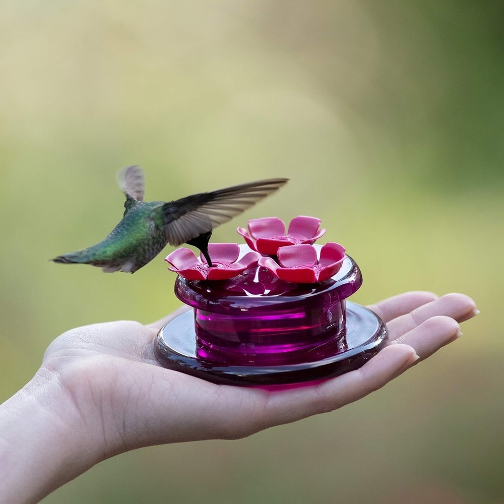 9100 Handheld & Tabletop Hummingbird Feeder - Bee Resistant, Lightweight Design