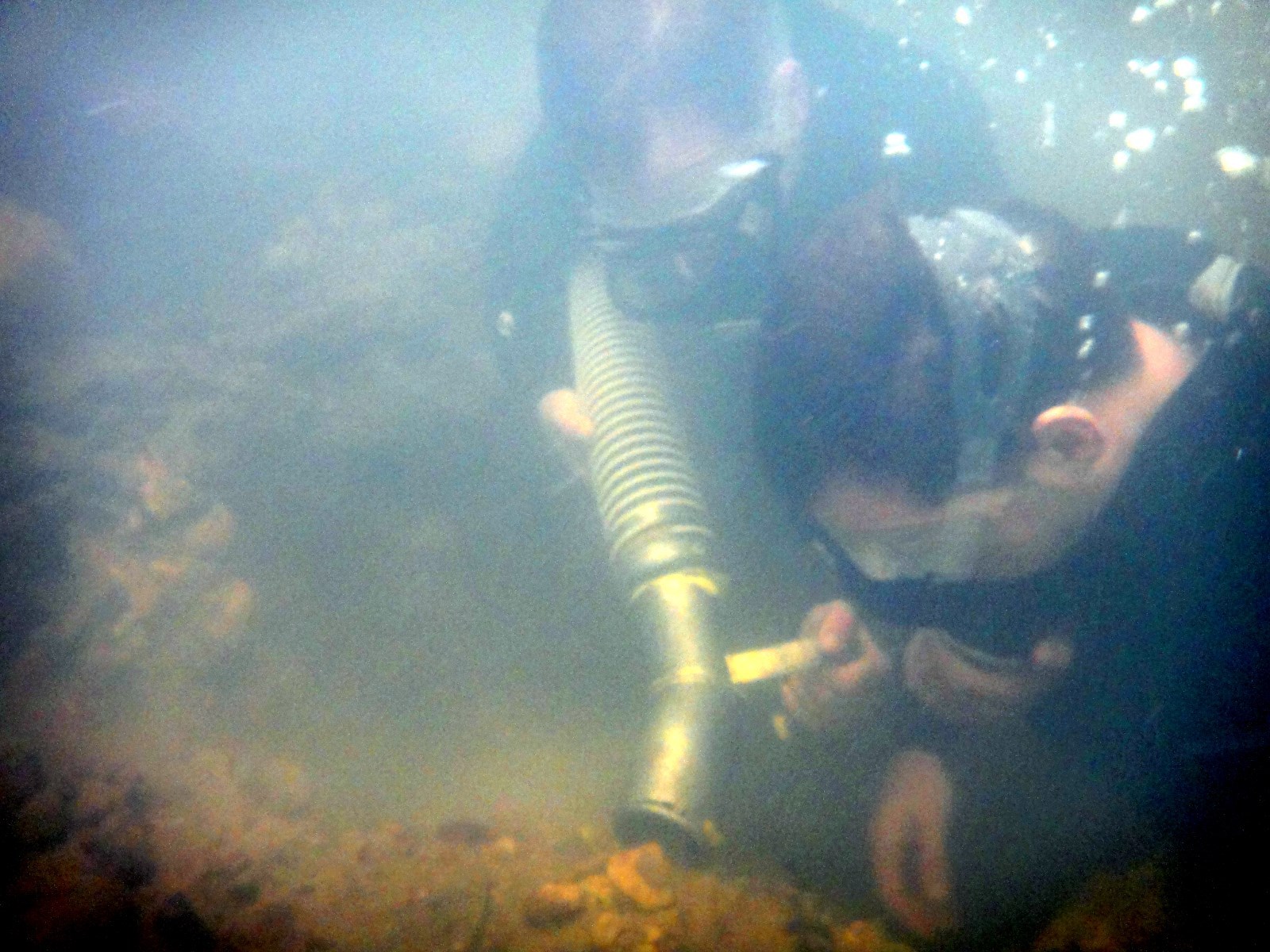 Gold Paydirt 2.5LB | Guaranteed Gold | Panning Georgia Pay Dirt Nuggets Pickers