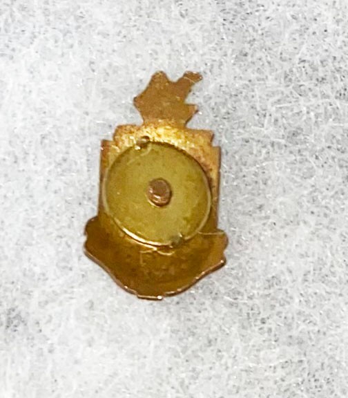 161st Infantry DI SB