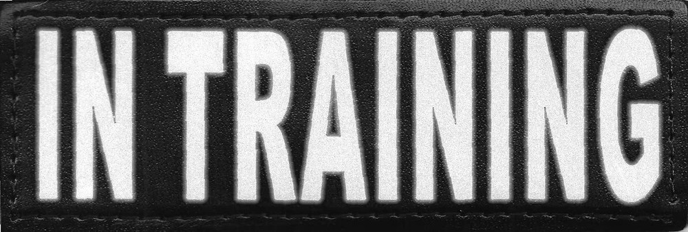 IN TRAINING Reflective Hook&Loop Patch Small or Large Service Dog barkOutfitters