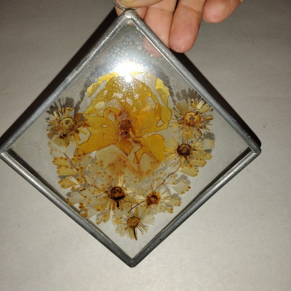 Pressed Flower Window Suncatcher x 2