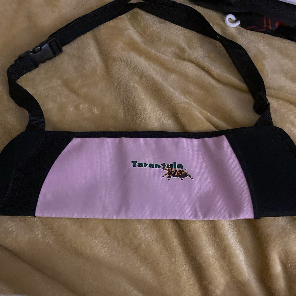 Tarantula Arrow Quiver - Pink