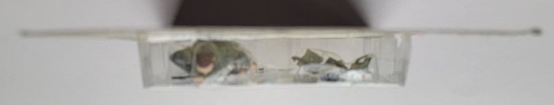 Elite Force Navy Seal Blue Box Toys Action Figure 1:18 Scale Sniper