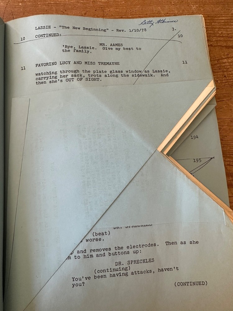 Lassie: A New Beginning TV MOVIE SCRIPT SCREENPLAY
