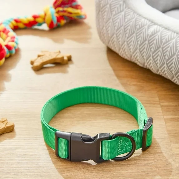 Vibrant Life Polyester Adjustable Dog Collar, Green,
