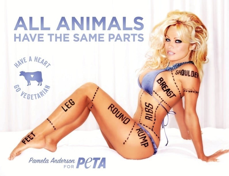 Pamela Anderson Poster