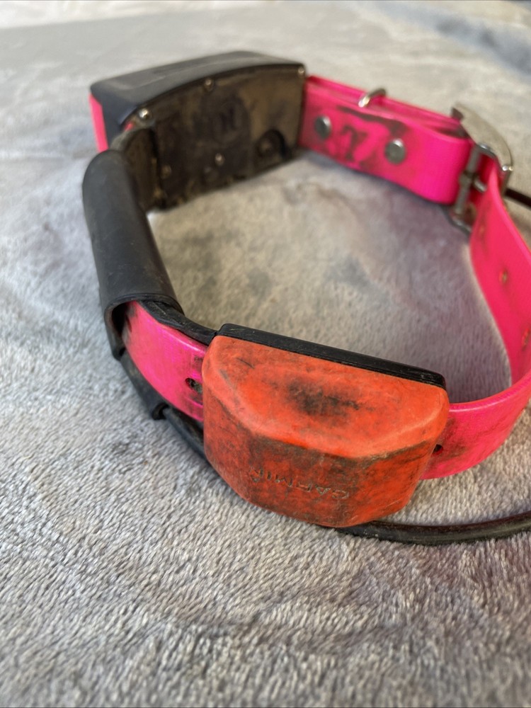 Garmin T5 GPS Dog Tracking Collar