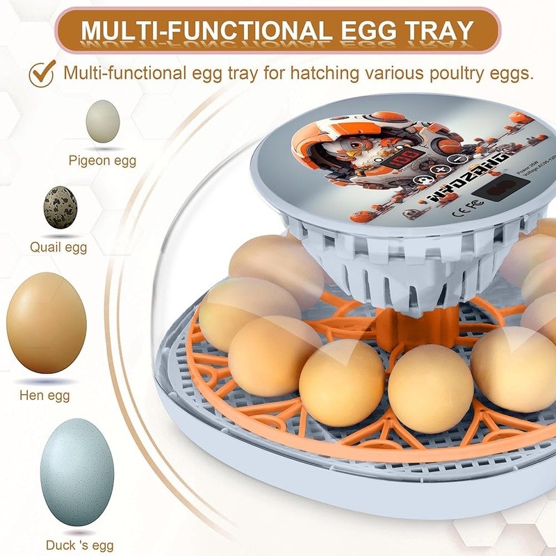 Automatic Egg Incubator 360° View High Hatch Rates Humidity Control Easy Setup