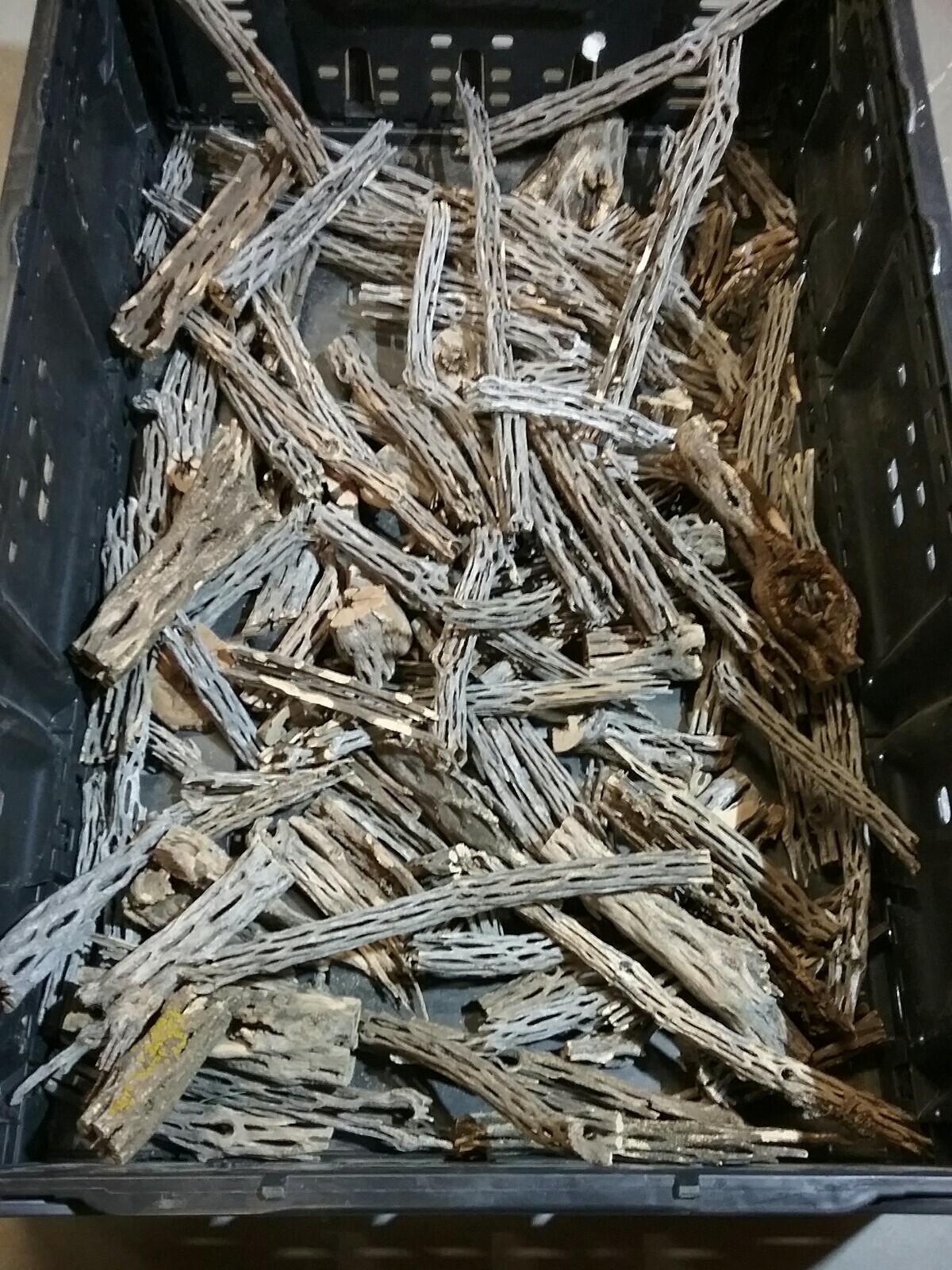 2+ LBS CHOLLA Wood CUTOFFS | Whole Pieces Split Halves Bits | Aquarium, Crafts