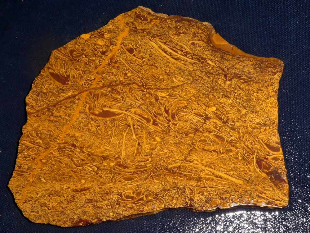 Script stone-Cobra Jasper slab-5 3/8 "x 4 1/2 " -cabbing-rough-display