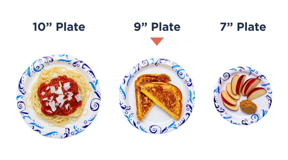 New Everyday Paper Plate, 8.5", 100ct, Patterned