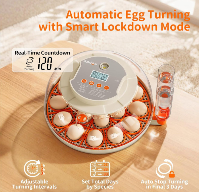 Egg Incubator 18 Eggs Temperature Humidity Control Automatic Turning Incubators