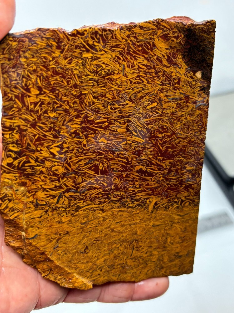 Script Stone Jasper Slab Cabbing Lapidary Collecting Combo Ship Avail