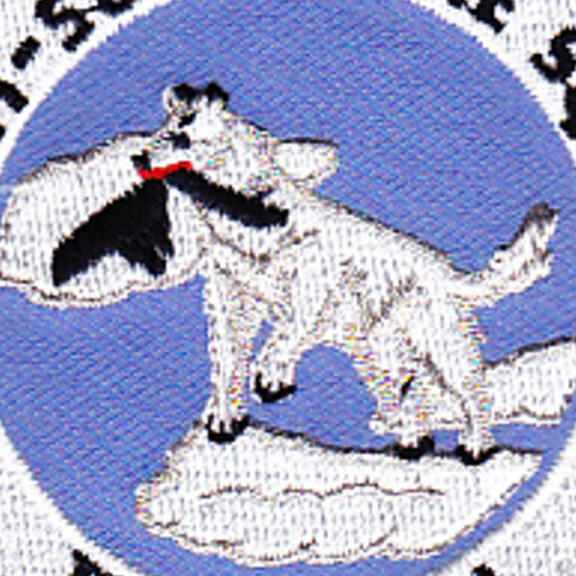VS-36 Patch Gray Wolves