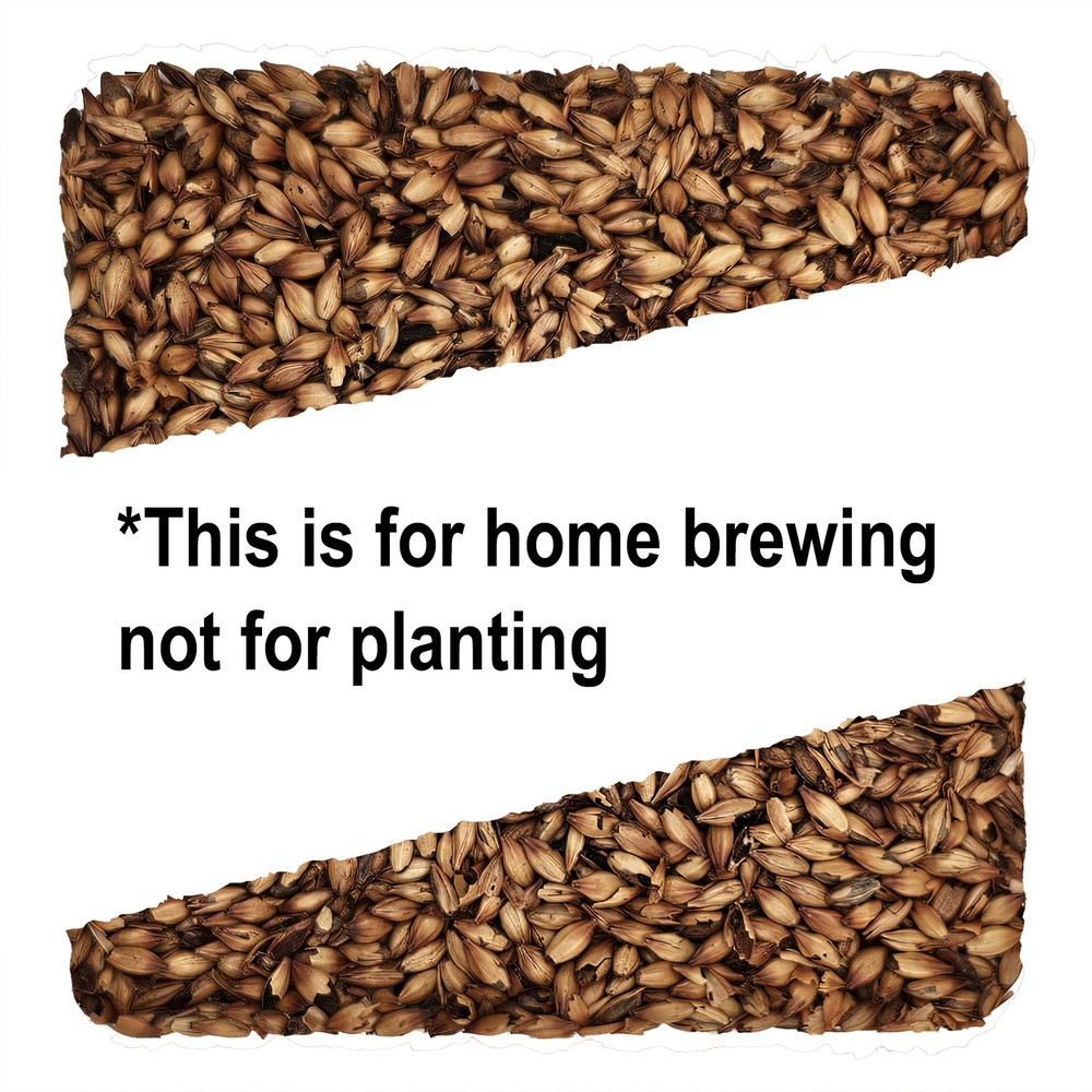 Home Brew Ohio Special B Grain 1lb