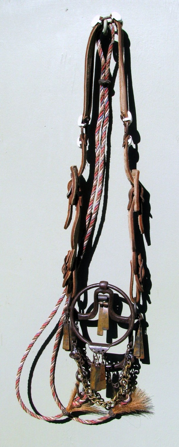 UNIQUE ANTIQUE COMPLETE CHILDS EMBROIDERED PONY HEADSTAL RING BIT REIN SET 1900