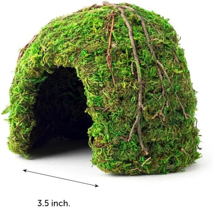 (05366 Mossy Dome Hide, 6 In, Green