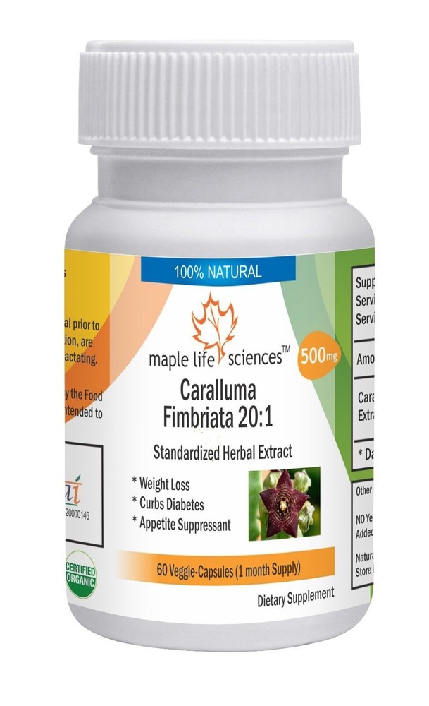 Burdock Root 10:1 Extract Capsules Pure & High Quality