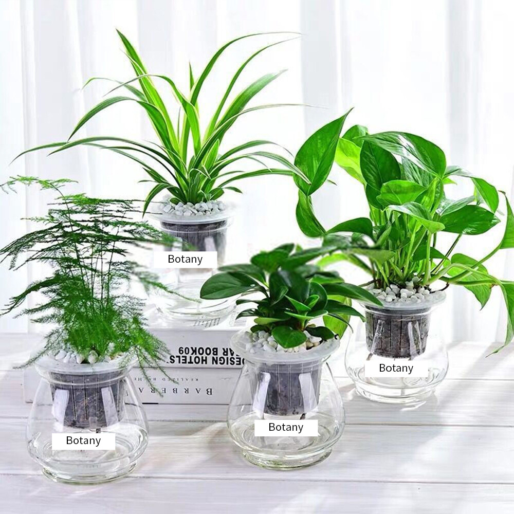 Compatible with Brother 18mm Black on White TZ-241 Label Tape TZe241 3/4"