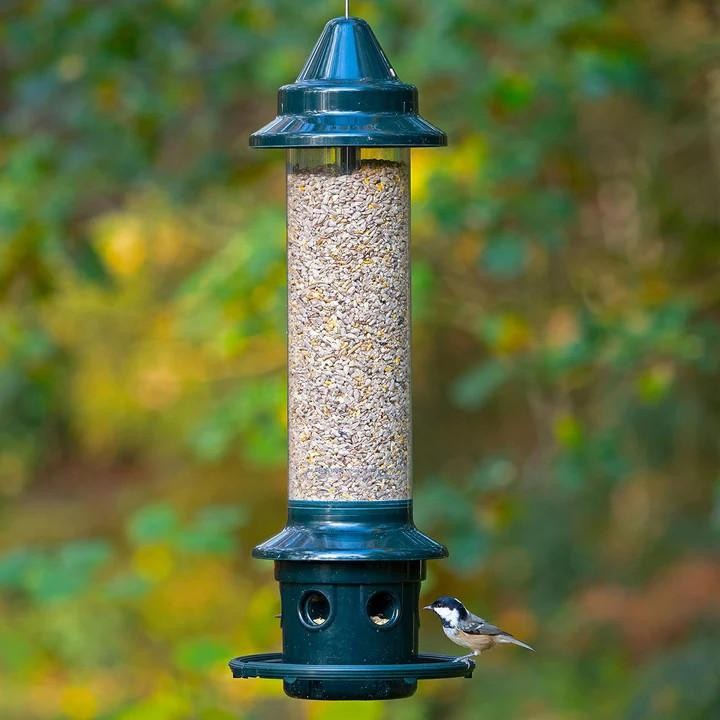 Brome Squirrel Buster Plus Squirrel Proof Bird Feeder w/ Cardinal Ring 1024